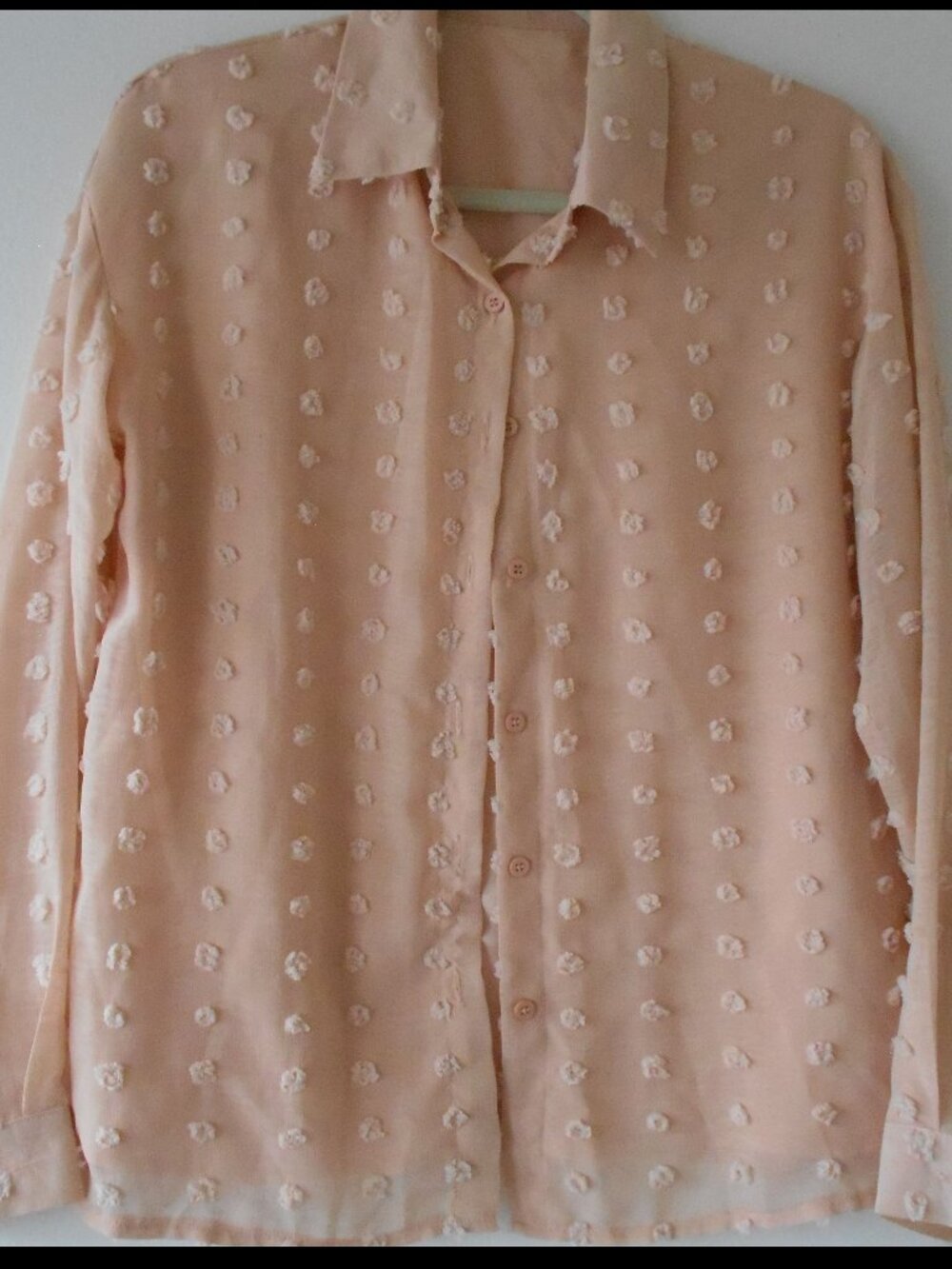 Feminine sheer lined long sleeve blouse sz M